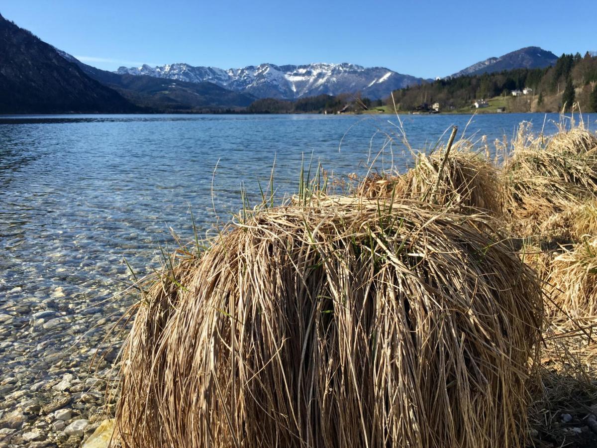 Landhaus Hallstaettersee Bad Goisern Dış mekan fotoğraf