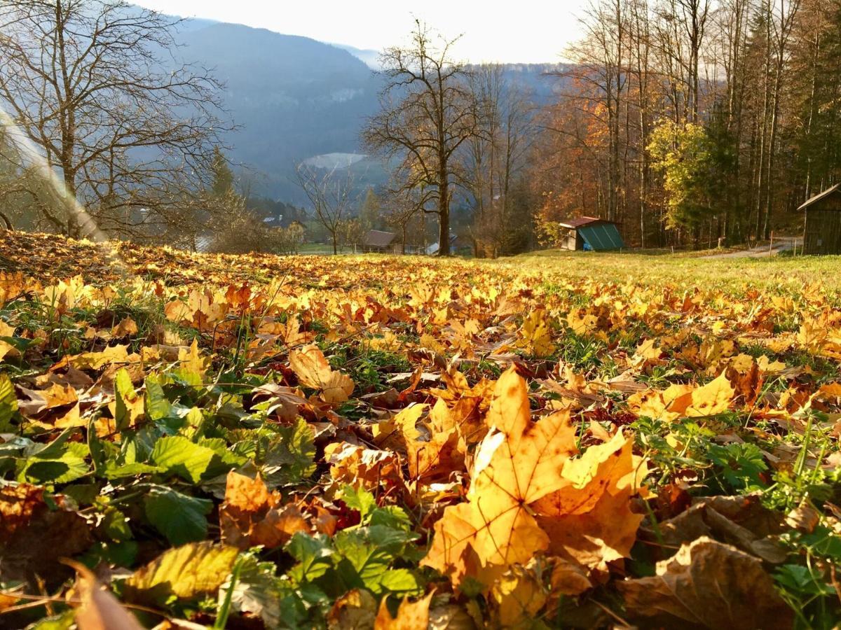 Landhaus Hallstaettersee Bad Goisern Dış mekan fotoğraf